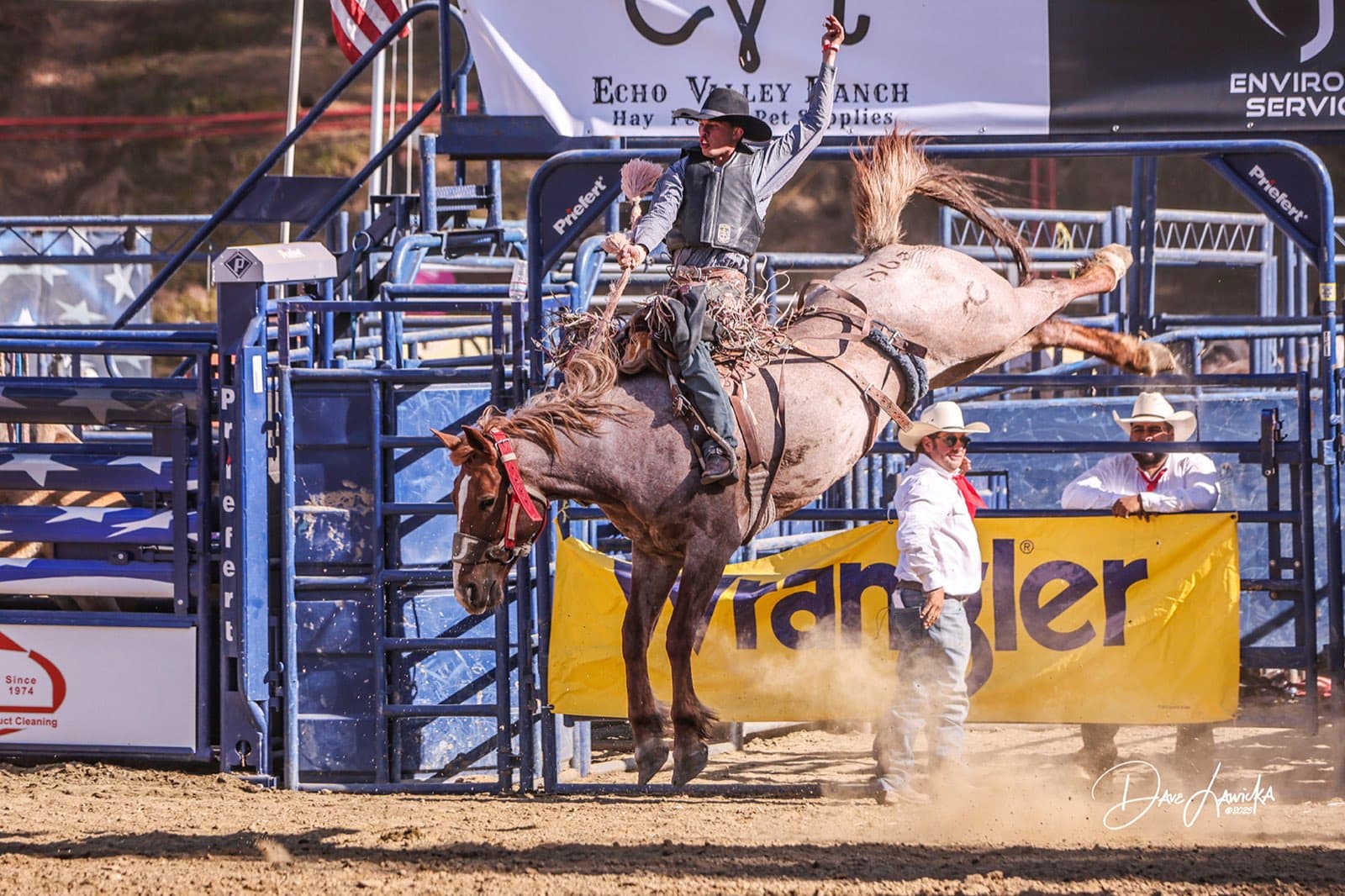 Bronc rider spurring a bucking roan horse right in front of the chutes and pickup men at the Gold Country Pro Rodeo