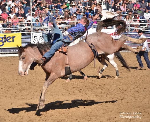 Bronc rider airborne as the horse kicks high before a packed grandstand