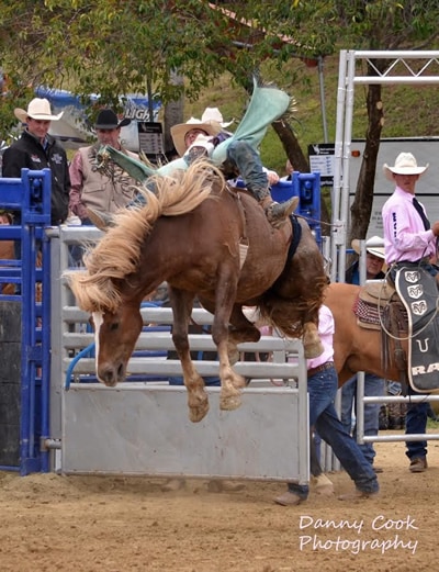 Folsom Rodeo Seating Chart