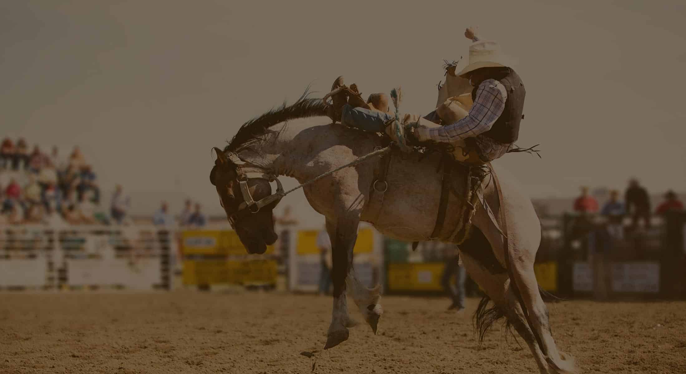 videoposterimg Gold Country Pro Rodeo